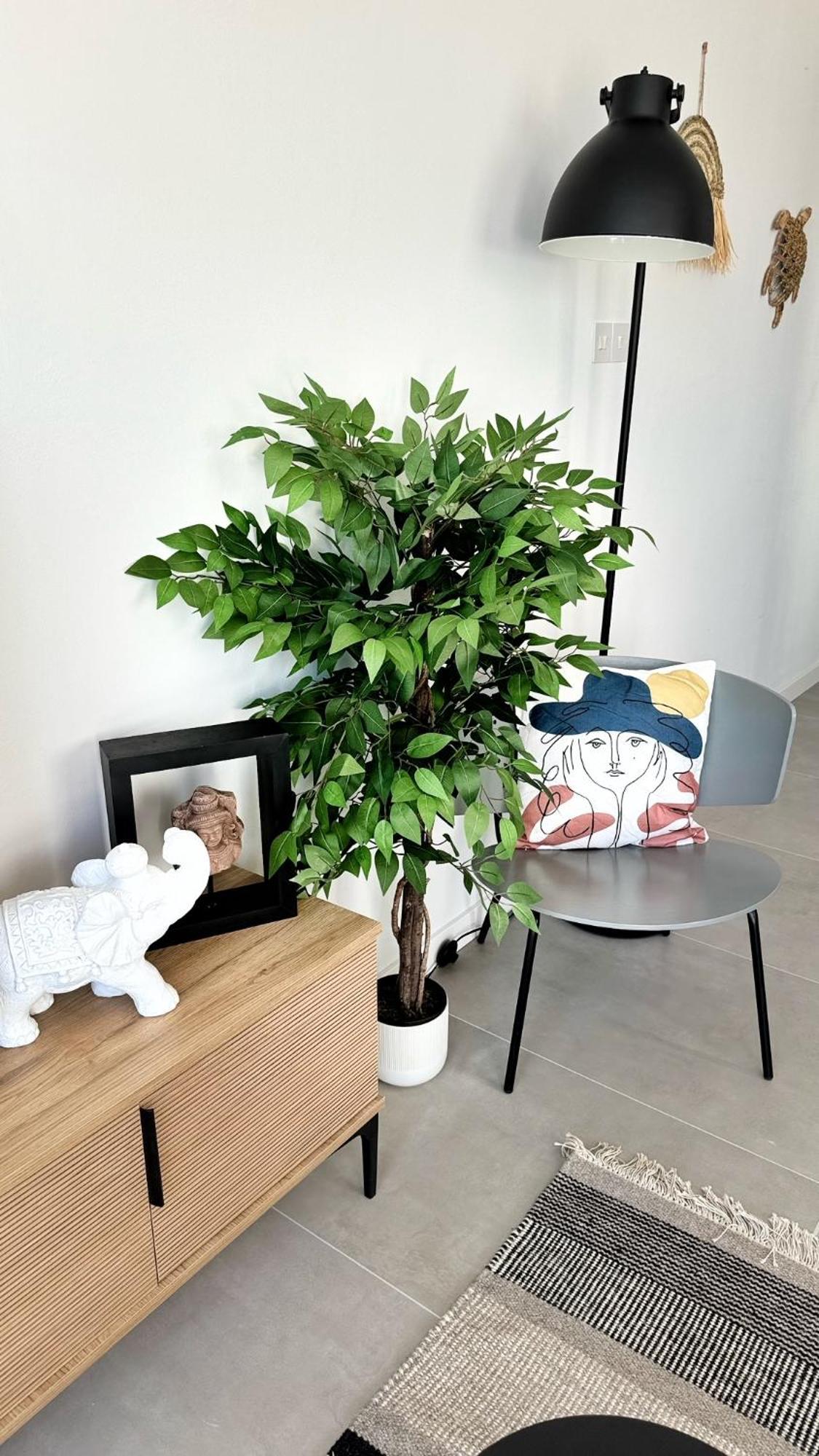 Peyia Paradise Apt Kültér fotó